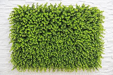 速通必会技巧？《宝可梦：朱＆紫》发现加速跑BUG